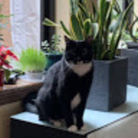 Meet your Posher, Sandra - Picture 1 of 1